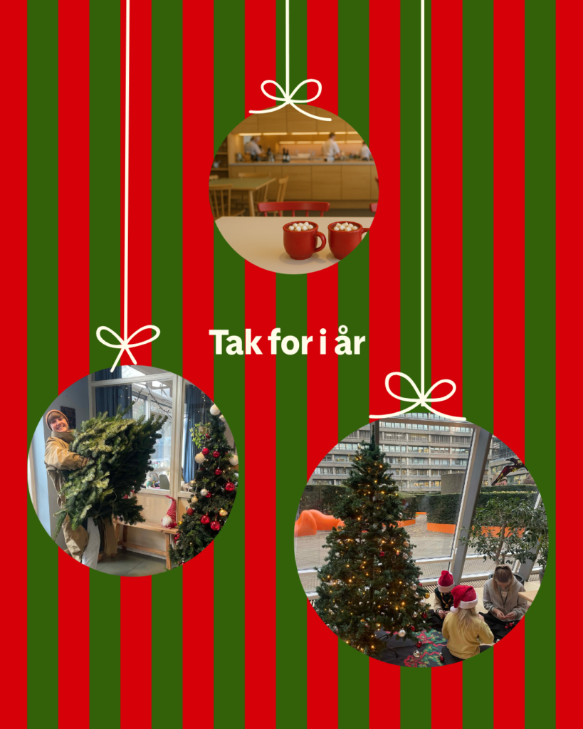 Glædelig jul og godt nytår!